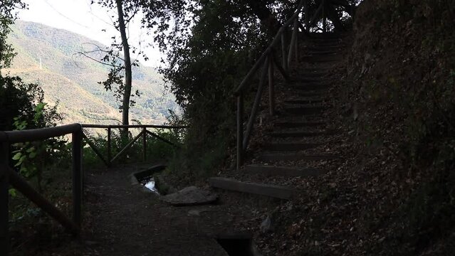 escalera campo
