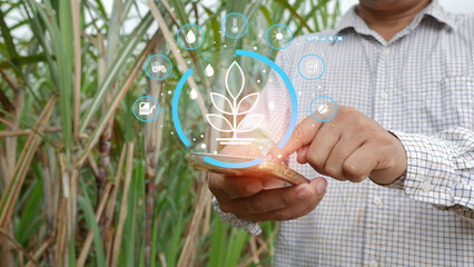 Farmers standing in green fields. Hologram showing agricultural technology icons.
