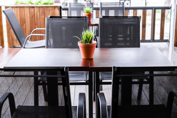 Outdoor wooden table with plant in vase on table and many steel black chairs.