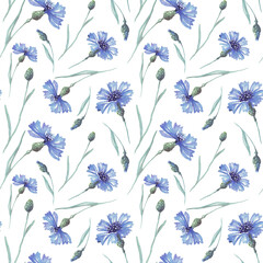 Watercolor conflowers. Seamless puttern. Hand-painted	
