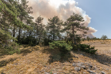 Forest fire wreaks havoc on causse de sauveterre.