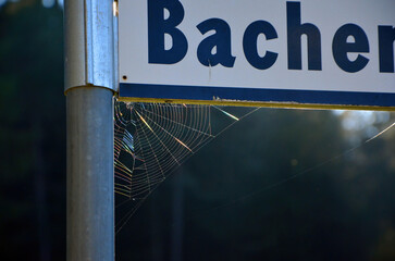 Spider's web under a street sign. Backlighting from the setting sun brings out iridescent colors