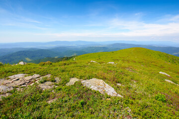 carpathian mountain landscape in summer. view in to the distant valley. grassy meadows and forested hills. sunny weather at high noon