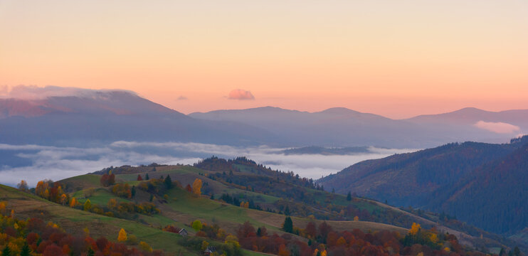carpathian rural landscape at dawn. hills with trees in colorful foliage. fog in the distant valley. clouds and sky in red morning light