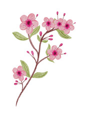 Naklejka na ściany i meble A branch of blooming sakura. Art watercolor. Hand-drawn illustration for greeting cards and posters.