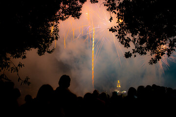 Fototapeta na wymiar people see orange firework in the sky