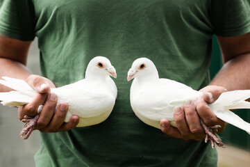A pair of white doves of peace in the hands of the Ukrainian defender