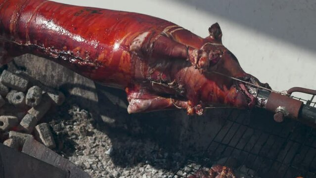 Fresh suckling pig on a skewer rotates over an open wood fire on a grill.