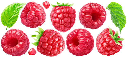 Fototapeta Set of ripe raspberries with leaves. PNG with transparent background. obraz