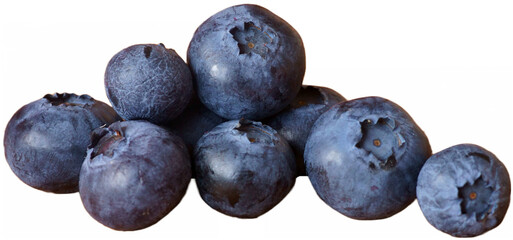 Background with berries - bilberry; Vaccinium Myrtillus