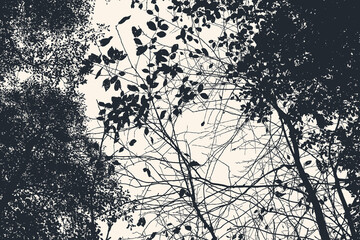 Silhouettes of big trees in the park. vector illustration