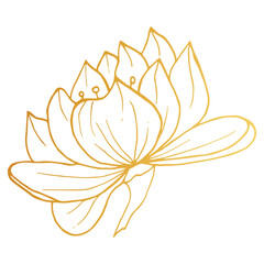Golden Lotus iisolated on white background. Hand drawn vector illustration for wedding invitations, greeting cards and witchcraft.