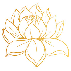 Golden Lotus iisolated on white background. Hand drawn vector illustration for wedding invitations, greeting cards and witchcraft.