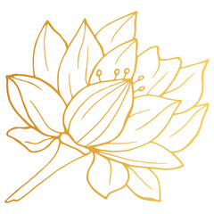 Golden Lotus iisolated on white background. Hand drawn vector illustration for wedding invitations, greeting cards and witchcraft.