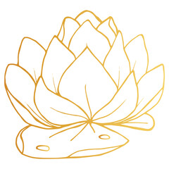 Golden Lotus iisolated on white background. Hand drawn vector illustration for wedding invitations, greeting cards and witchcraft.