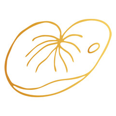 Golden Lotus leaf iisolated on white background. Hand drawn vector illustration for wedding invitations, greeting cards and witchcraft.
