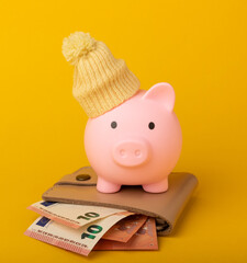 Savings concept. Piggy bank and money on a yellow textural background. A piggy bank in a warm...