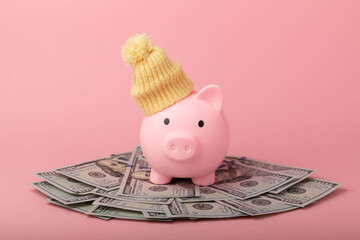 Savings concept. Piggy bank and money on pink texture background. A piggy bank in a warm winter hat...