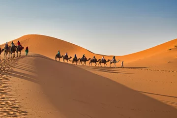 Zelfklevend Fotobehang caravan in the desert, trip from Merzouga, beautiful desert landscape © Miriam