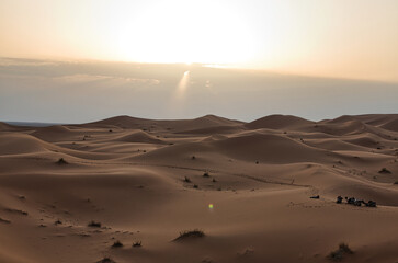 Dunes in the Sahara desert at sunset, the desert near the town of Merzouga, a beautiful African landscape