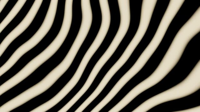 Abstract black and white zebra patten illusion seamless animation texture