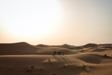 Obraz na płótnie Canvas Dunes in the Sahara desert at sunset, the desert near the town of Merzouga, a beautiful African landscape