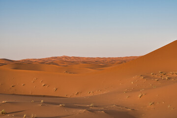 Fototapeta na wymiar Dunes in the Sahara desert at sunset, the desert near the town of Merzouga, a beautiful African landscape