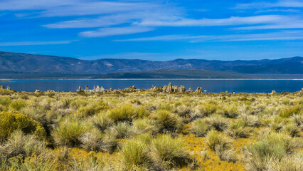 Saline Soda Lake Mono Lake Tufa Formations Reflection in Mono County, east of Yosemite National Park, California