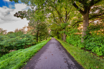 Cycle route with green sumer trees in fresh sunrise morning