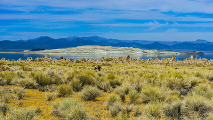 Saline Soda Lake Mono Lake Tufa Formations Reflection  in Mono County, east of Yosemite National Park, California