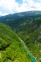 Fototapeta na wymiar Mountain river Tara and canyon, Montenegro, natural landscape. Vertical image