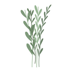 branches foliage icon