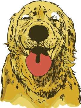 Perro amarillo, de lineas, vectorizado , perro feliz