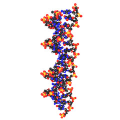 3D rendering illustration of DNA molecules