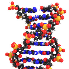 3D rendering illustration of DNA molecules