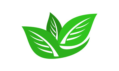 ecology nature leaf logo