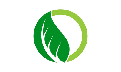 green circle leaf logo vector