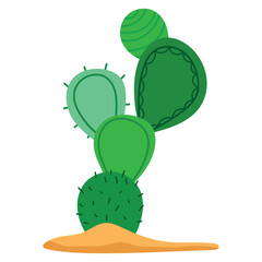 cactus in soil