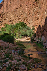 Obraz premium Todra gorge in Morocco, red rocks in Morocco, exploring the gorge, beautiful Moroccan landscape