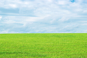 green field and cloudy sky. grass and clouds. Beautiful landscape. background. horizontal crop. Place for text