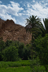 Fototapeta na wymiar Todra gorge in Morocco, red rocks in Morocco, exploring the gorge, beautiful Moroccan landscape