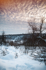 Winter park in the snow in the evening
