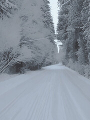 Obraz premium snow covered road