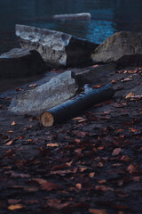A WOODEN LOG LIES ON THE BANK OF THE RIVER