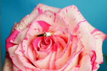 Gold diamond ring on pink blooming rose. A symbol of love. The beginning of relationship. valentine's day. The key to the heart.