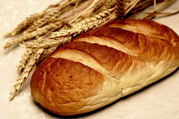 a loaf of bread and ears of wheat on the table