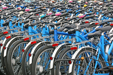 Bicycles in a line for rent