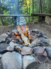 campfire in the forest