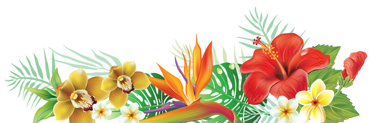 Arrangement from tropical flowers - obrazy, fototapety, plakaty