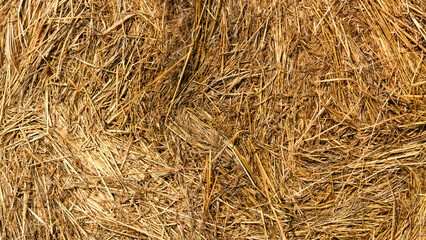 Haystack close-up. Straw texture  background close up. Harvest concept. Abstract backdrop